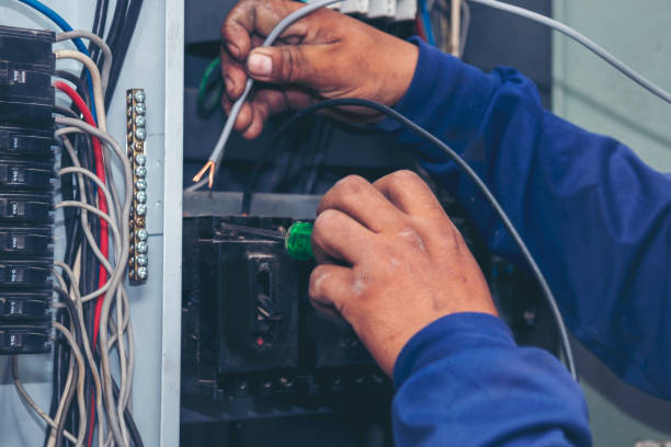 Best Electric Panel Repair  in Perezville, TX